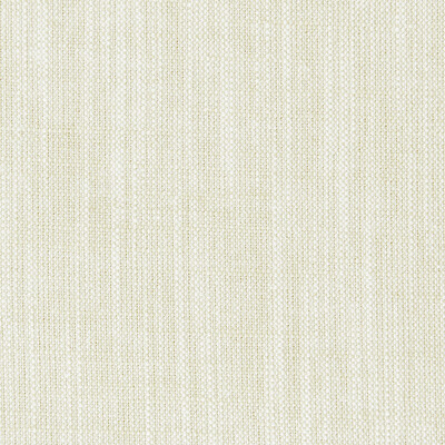 Clarke And Clarke F0965/34.CAC.0 Biarritz Multipurpose Fabric in Oyster