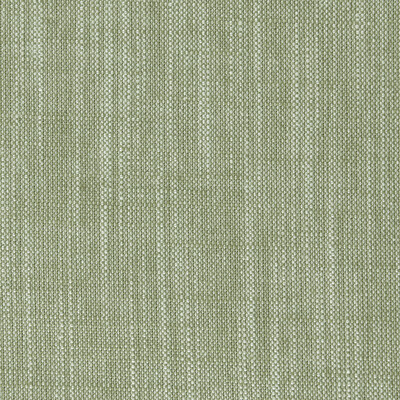 Clarke And Clarke F0965/36.CAC.0 Biarritz Multipurpose Fabric in Parsley