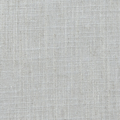 Clarke And Clarke F0965/41.CAC.0 Biarritz Multipurpose Fabric in Seagull