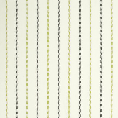 Clarke And Clarke F0994/01.CAC.0 Enya Drapery Fabric in Chartreuse/charcoal