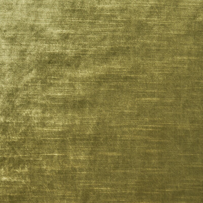 Clarke And Clarke F1069/28.CAC.0 Allure Multipurpose Fabric in Olive