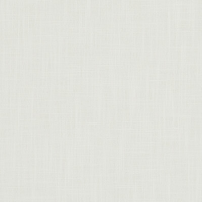 Clarke And Clarke F1076/16.CAC.0 Hudson Multipurpose Fabric in Ivory