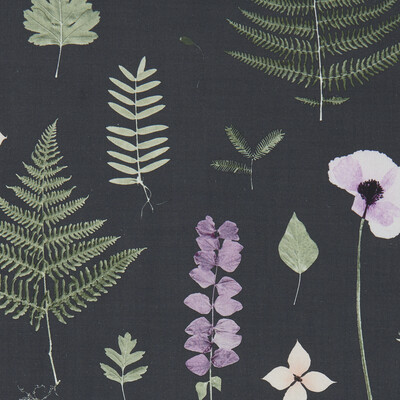 Clarke And Clarke F1089/03.CAC.0 Herbarium Multipurpose Fabric in Heather/ebony