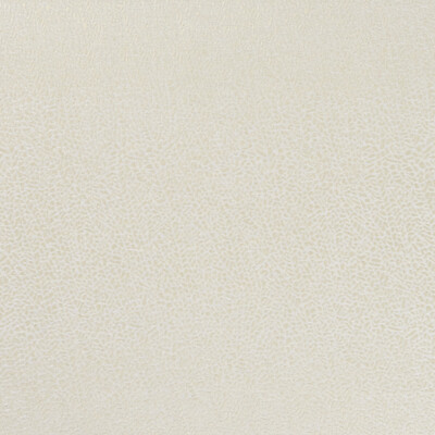 Clarke And Clarke F1091/01.CAC.0 Isla Multipurpose Fabric in Ivory/gilver