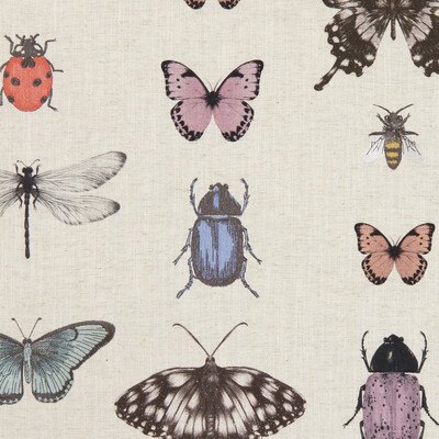 Clarke And Clarke F1093/01.CAC.0 Papilio Multipurpose Fabric in Blush/natural