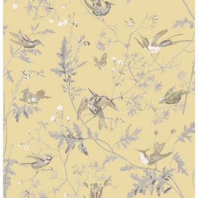 Cole & Son F111/1001.CS.0 Hummingbirds Drapery Fabric in Gld/sft Grey/Gold/Yellow