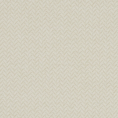 Clarke And Clarke F1137/04.CAC.0 Trinity Multipurpose Fabric in Ivory