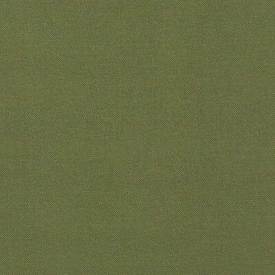Clarke And Clarke F1231/11.CAC.0 Renzo Multipurpose Fabric in Forest