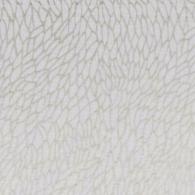 Clarke And Clarke F1278/02.CAC.0 Corallino sheer Drapery Fabric in Champagne/gold