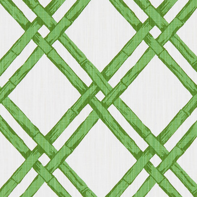 Clarke And Clarke F1287/03.CAC.0 Bhutan Multipurpose Fabric in Emerald