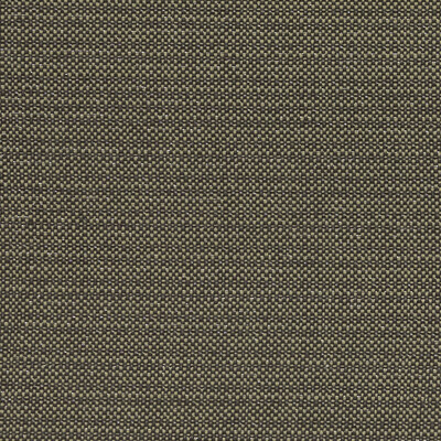 Clarke And Clarke F1299/02.CAC.0 Kauai Multipurpose Fabric in Charcoal