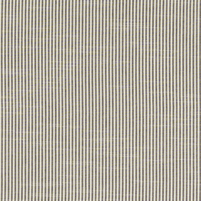 Clarke And Clarke F1307/02.CAC.0 Bempton Multipurpose Fabric in Charcoal