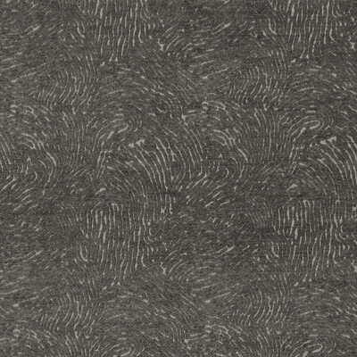 Clarke And Clarke F1320/01.CAC.0 Levante Multipurpose Fabric in Charcoal