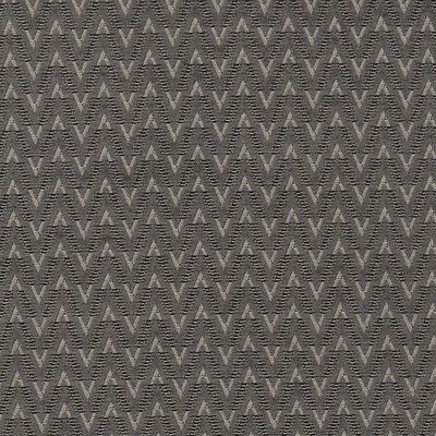 Clarke And Clarke F1324/01.CAC.0 Zion Multipurpose Fabric in Charcoal