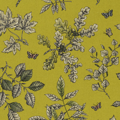Clarke And Clarke F1329/03.CAC.0 Hortus Multipurpose Fabric in Chartreuse