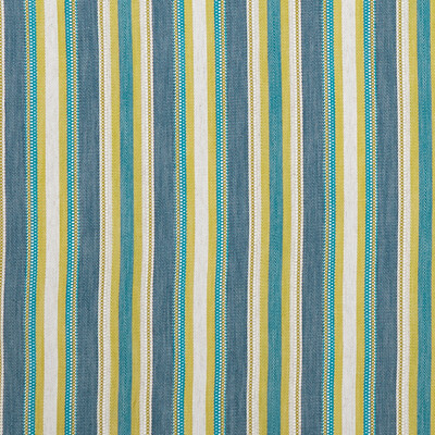 Clarke And Clarke F1352/03.CAC.0 Ziba Multipurpose Fabric in Denim/chartreuse