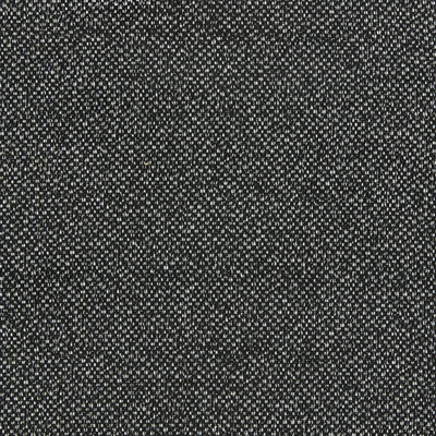 Clarke And Clarke F1421/02.CAC.0 Filum Upholstery Fabric in Ebony/Black/White