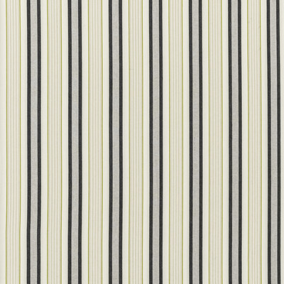 Clarke And Clarke F1430/02.CAC.0 Belvoir Upholstery Fabric in Charcoal/chartreu/Beige/Charcoal/Chartreuse