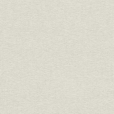 Clarke And Clarke F1437/02.CAC.0 Atmosphere Upholstery Fabric in Ivory/White