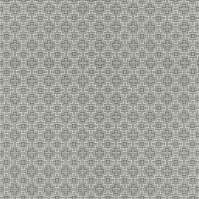 Clarke And Clarke F1438/01.CAC.0 Aztec Upholstery Fabric in Charcoal/Grey