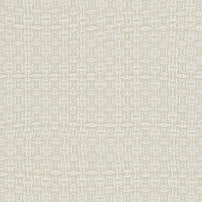 Clarke And Clarke F1438/02.CAC.0 Aztec Upholstery Fabric in Ivory/White