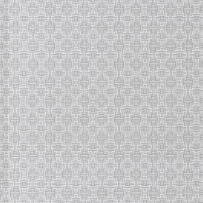 Clarke And Clarke F1438/04.CAC.0 Aztec Upholstery Fabric in Silver/Grey