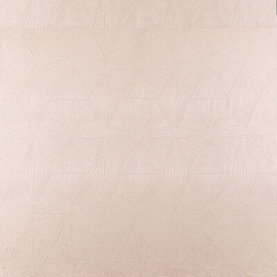 Clarke And Clarke F1456/01.CAC.0 Blaize Multipurpose Fabric in Blush/Pink