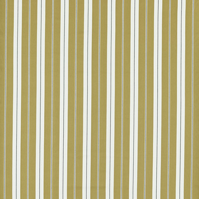Clarke And Clarke F1497/04.CAC.0 Belgravia Upholstery Fabric in Ochre/charcoal/Yellow/Gold