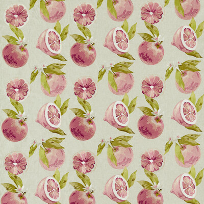 Clarke And Clarke F1506/01.CAC.0 Agrias Drapery Fabric in Grapefruit/Pink/Green/Beige