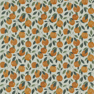 Clarke And Clarke F1508/02.CAC.0 Sicilian Drapery Fabric in Orange/Green