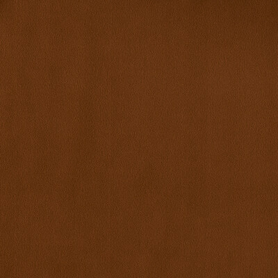 Clarke And Clarke F1511/02.CAC.0 Miami Drapery Fabric in Amber/Rust/Brown