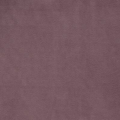 Clarke And Clarke F1511/15.CAC.0 Miami Drapery Fabric in Heather/Lavender/Purple