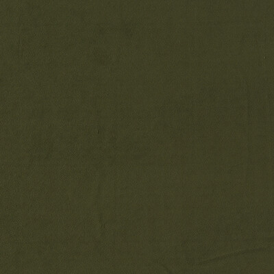 Clarke And Clarke F1511/16.CAC.0 Miami Drapery Fabric in Herb/Green