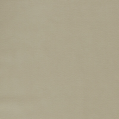 Clarke And Clarke F1511/23.CAC.0 Miami Drapery Fabric in Taupe/Beige