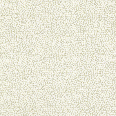 Clarke And Clarke F1548/01.cac.0 Ricamo Drapery Fabric in Ivory/Gold