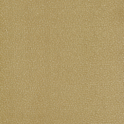 Clarke And Clarke F1548/04.cac.0 Ricamo Drapery Fabric in Ochre/Camel/Gold
