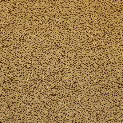 Clarke And Clarke F1564/02.cac.0 Astral Upholstery Fabric in Gold