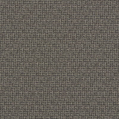 Clarke And Clarke F1569/01.cac.0 Malone Upholstery Fabric in Charcoal/Black/Grey