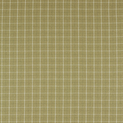 Clarke And Clarke F1571/05.cac.0 Thornton Upholstery Fabric in Olive/Green/Chartreuse