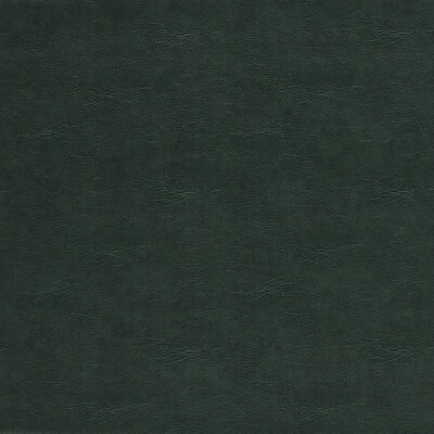 Clarke And Clarke F1598/05.CAC.0 Dawson Upholstery Fabric in Emerald/Green