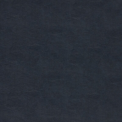 Clarke And Clarke F1598/09.CAC.0 Dawson Upholstery Fabric in Midnight/Black