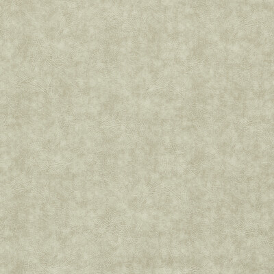 Clarke And Clarke F1598/10.CAC.0 Dawson Upholstery Fabric in Natural/Taupe/Beige