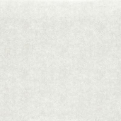 Clarke And Clarke F1598/13.CAC.0 Dawson Upholstery Fabric in Pearl/Ivory