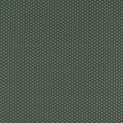 Clarke And Clarke F1618/01.CAC.0 Equator Upholstery Fabric in Forest/Green