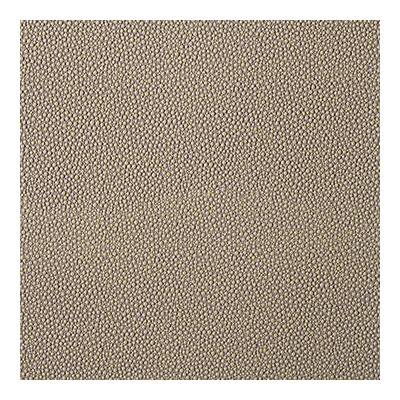 Kravet Contract FETCH.106.0 Fetch Upholstery Fabric in Taupe , Taupe , Hemp