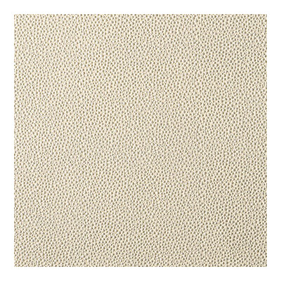 Kravet Contract FETCH.116.0 Fetch Upholstery Fabric in Beige , Beige , Champagne