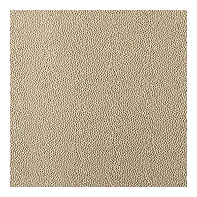 Kravet Contract FETCH.16.0 Fetch Upholstery Fabric in Beige , Beige , Radiant