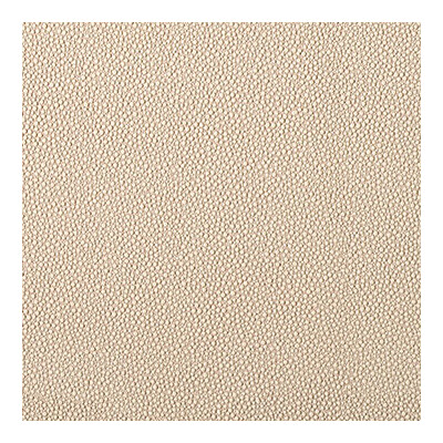Kravet Contract FETCH.1606.0 Fetch Upholstery Fabric in Beige , Beige , Sandbar
