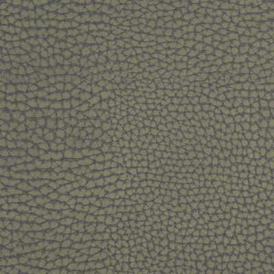 Kravet Couture FORGETFUL.21.0 Forgetful Upholstery Fabric in Grey , Black , Greystone