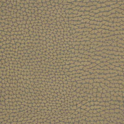 Kravet Couture FORGETFUL.6.0 Forgetful Upholstery Fabric in  ,  , Stone